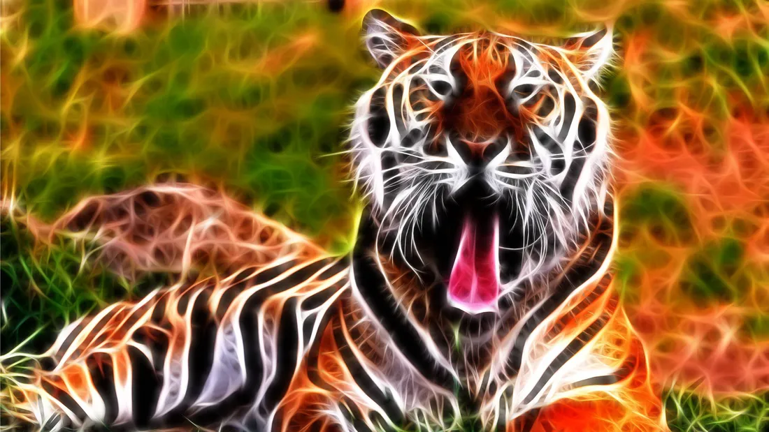 Live 3D