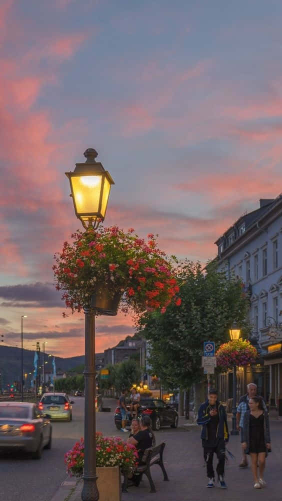 Live Aesthetic, glowing streetlamp, vibrant red flowers, SD Phone Wallpaper