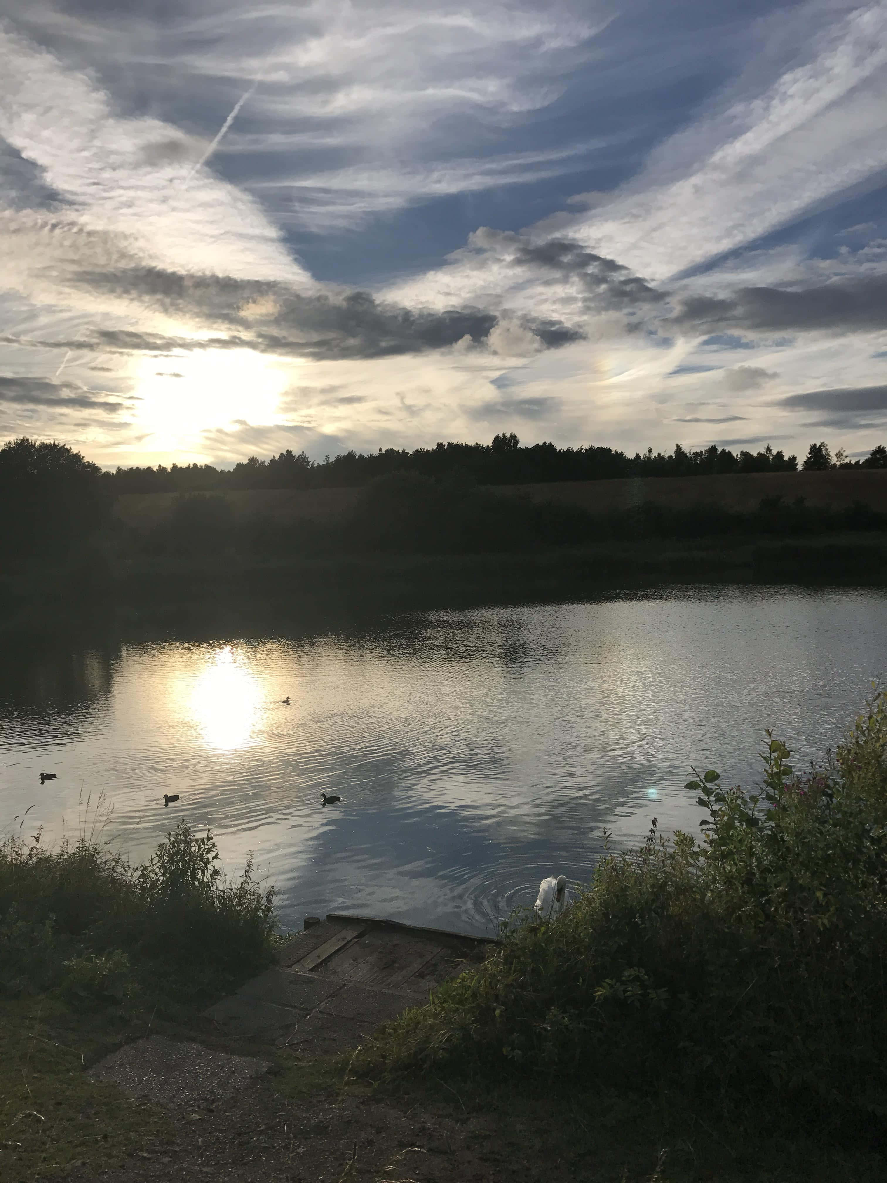Sunset, lake, ducks, 4K Phone Wallpaper