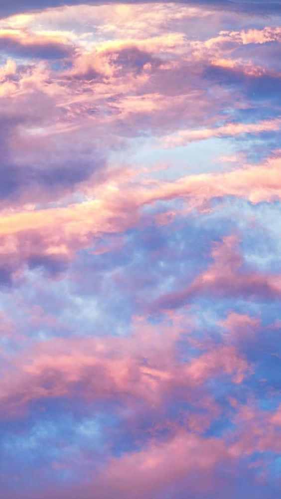 pink and yellow flower, soft pink and blue clouds, sunset, SD Phone Wallpaper