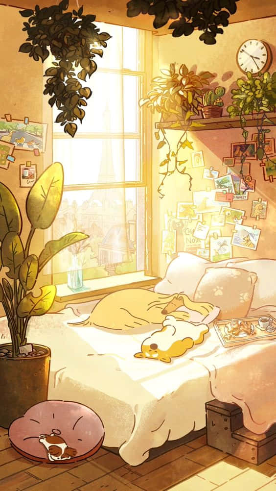Live Aesthetic, cozy bedroom, warm sunlight, SD Phone Wallpaper