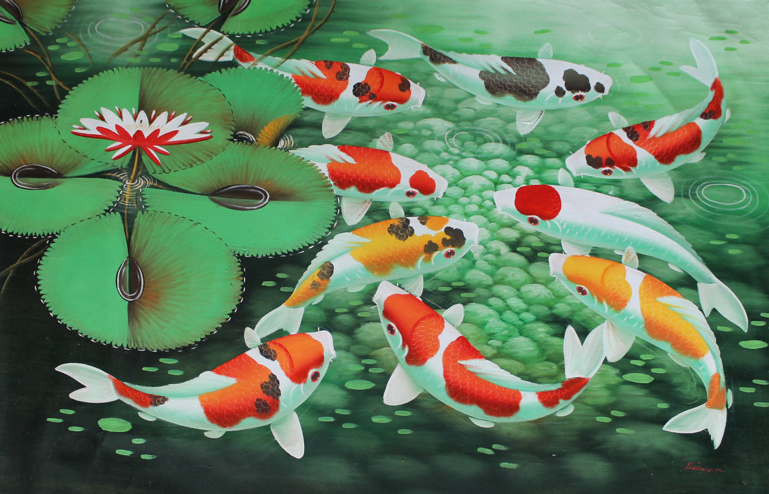 colorful koi fish, lily pads, water lily, Full HD Desktop Wallpaper