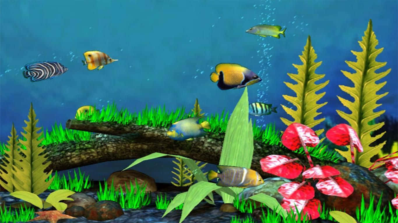 Live Fish, tropical fish, lush green coral, HD Desktop Wallpaper