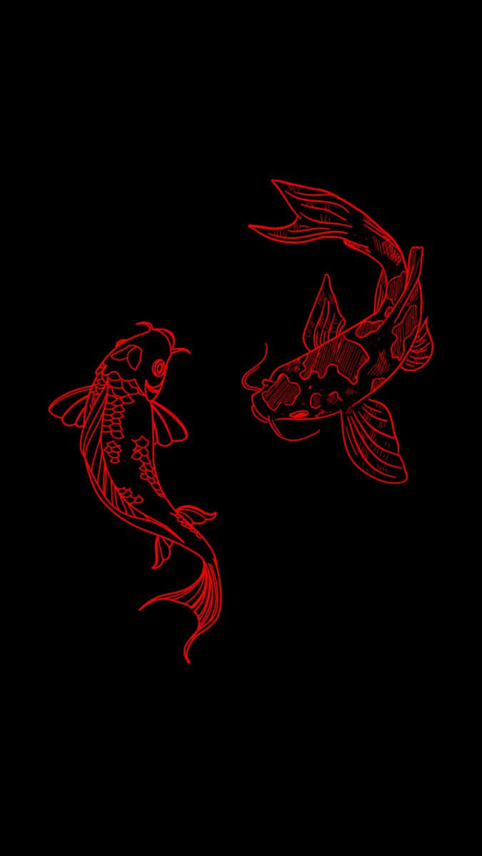 red and black koi fish, glowing red koi fish, intricate detail, SD Phone Wallpaper