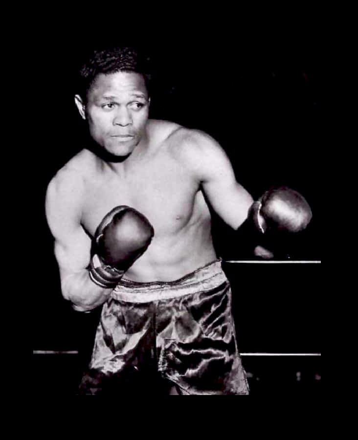 Lloyd Marshall, satin trunks, gloves, SD Phone Wallpaper