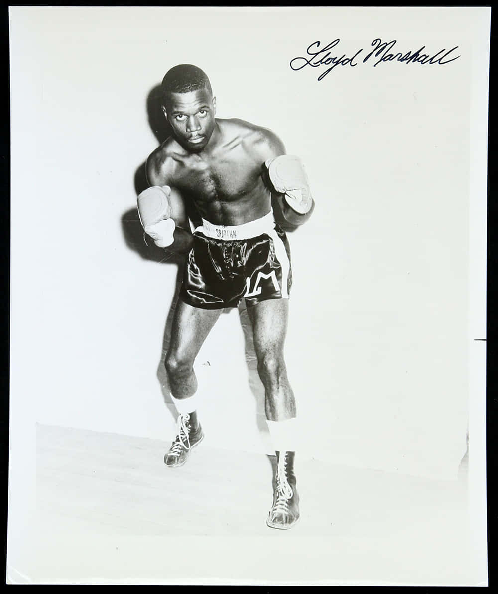 Lloyd Marshall, black and white photo, fighting stance, SD Phone Wallpaper