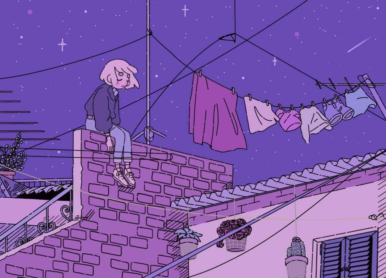 rooftop, starry purple sky, laundry line, HD Desktop Wallpaper
