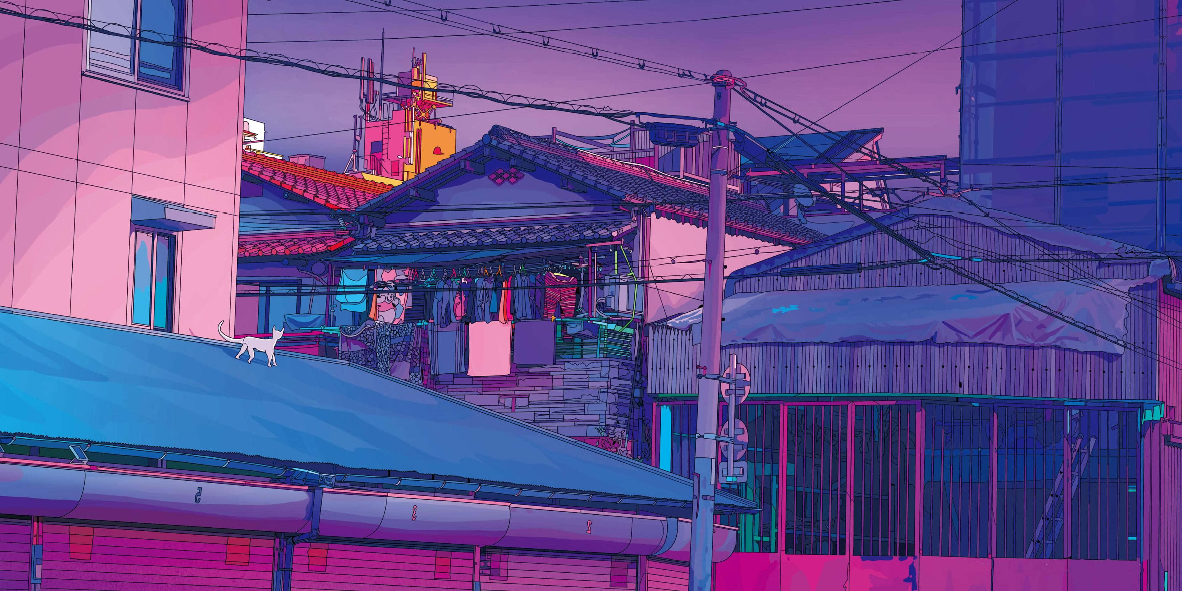 lo fi aesthetic, cat, rooftop, 4K Desktop Wallpaper