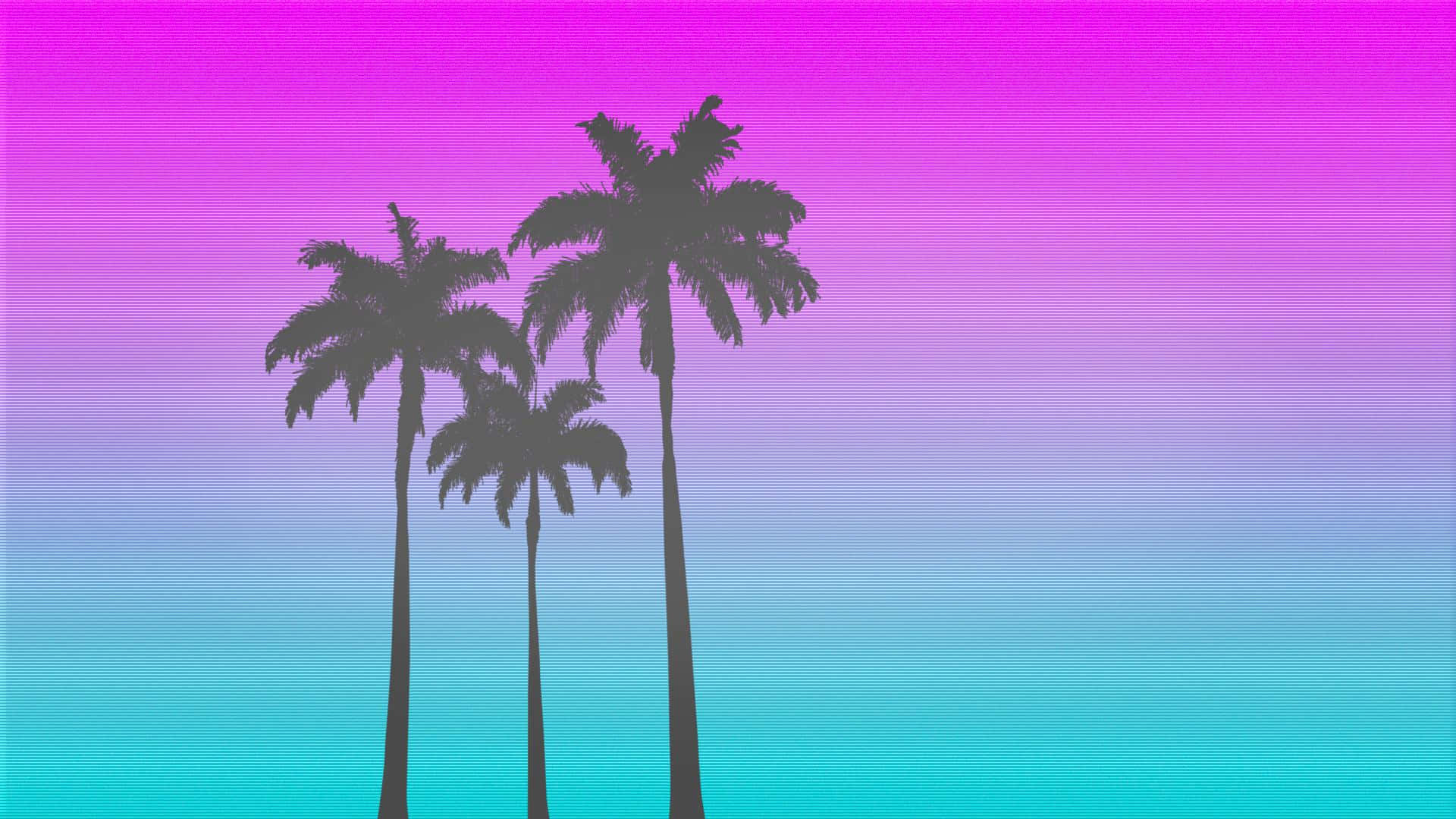 palm trees, blue and purple background, vibrant gradient sky, Full HD Desktop Wallpaper