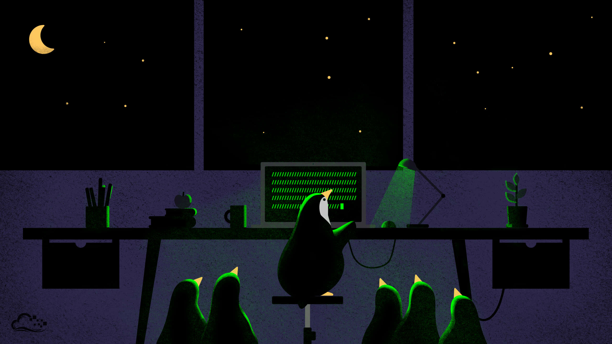penguin, desk, coding, 2K Desktop Wallpaper