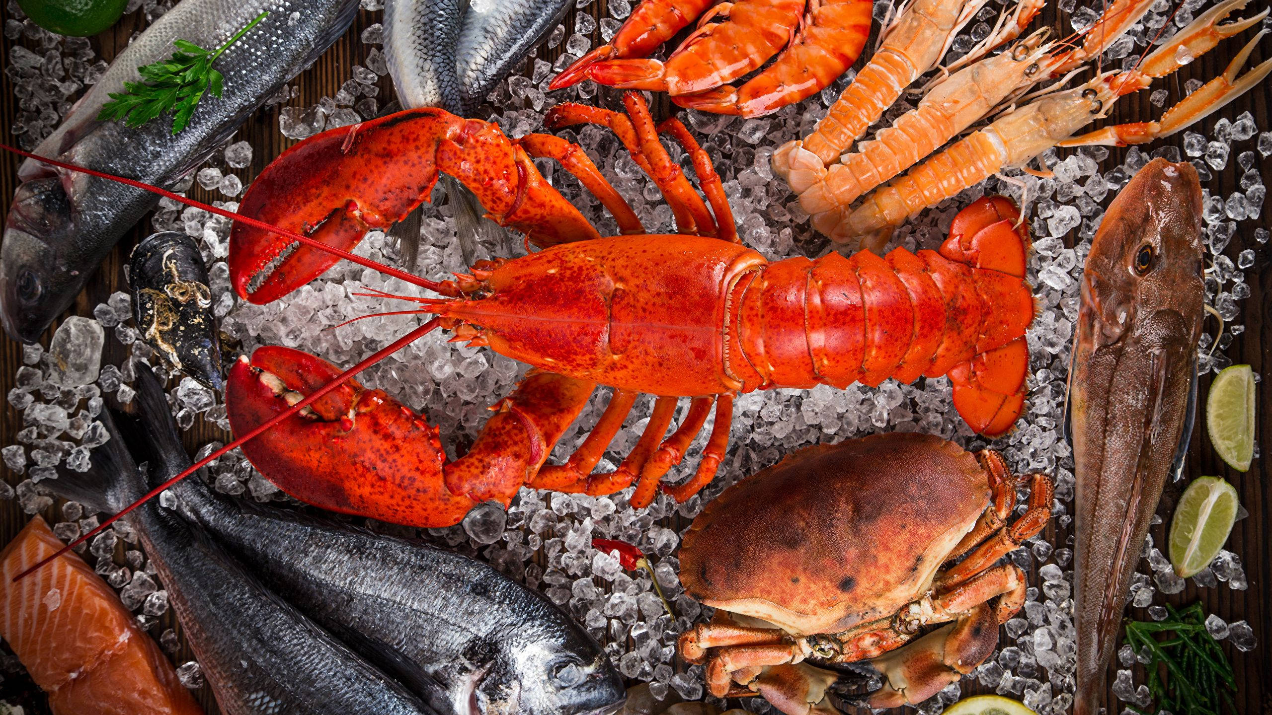 lobster, seafood platter, crushed ice, 2K Desktop Wallpaper