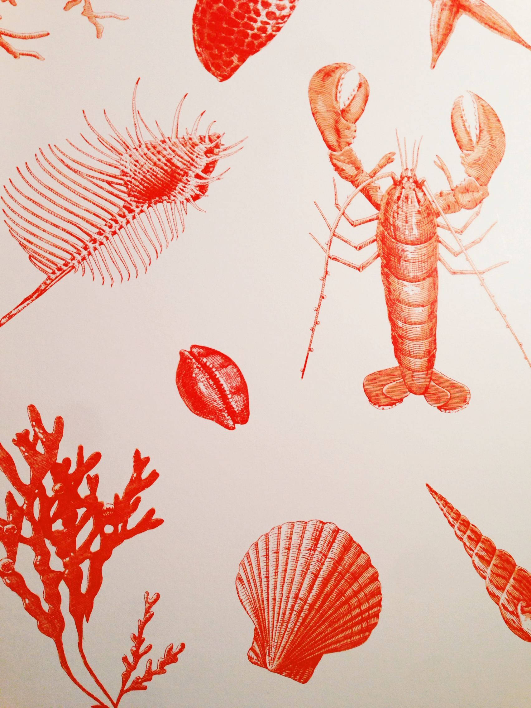 Lobster, marine animals, vibrant red, Full HD Phone Wallpaper
