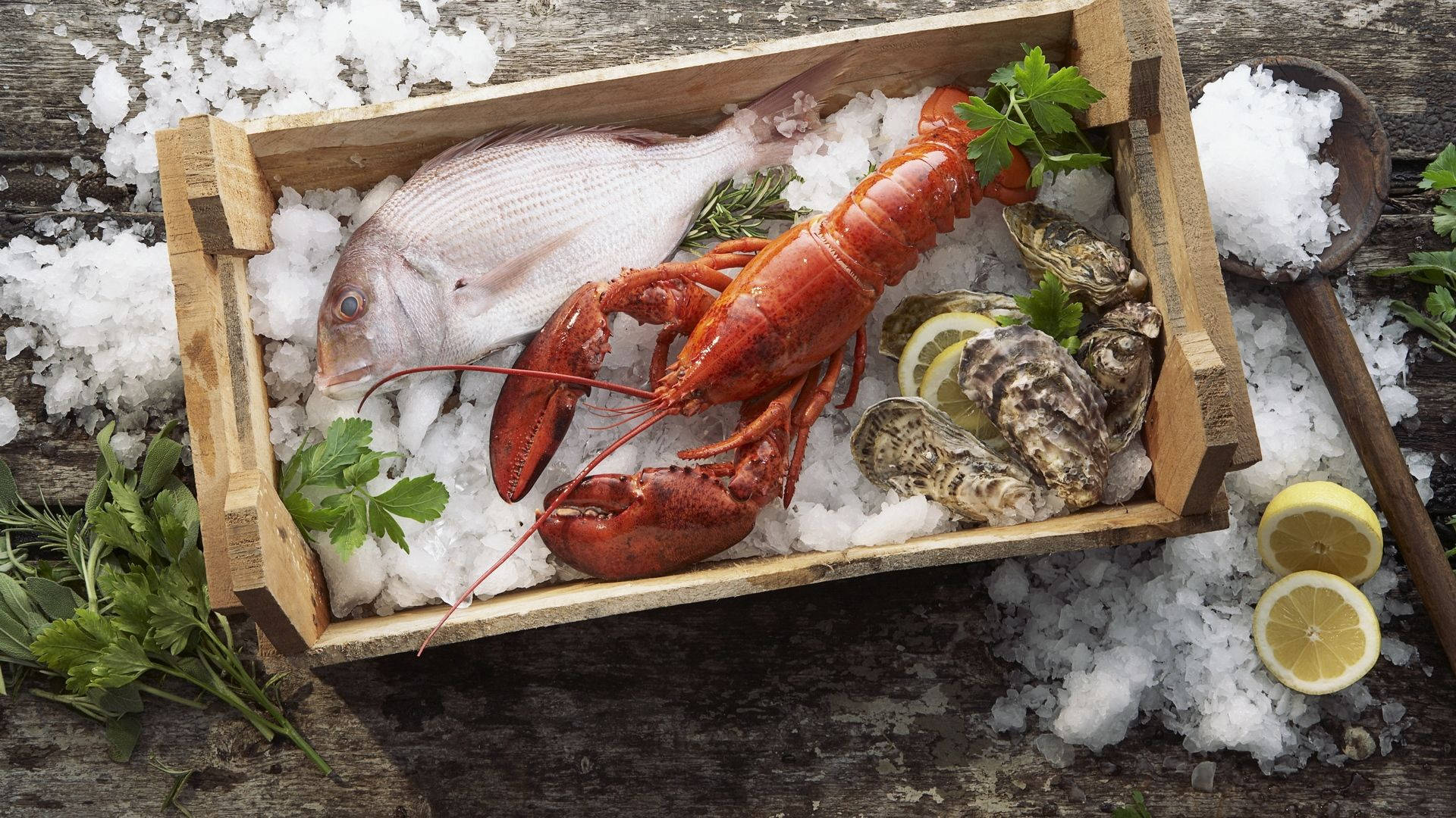 Lobster, wooden crate, crushed ice, Full HD Desktop Wallpaper