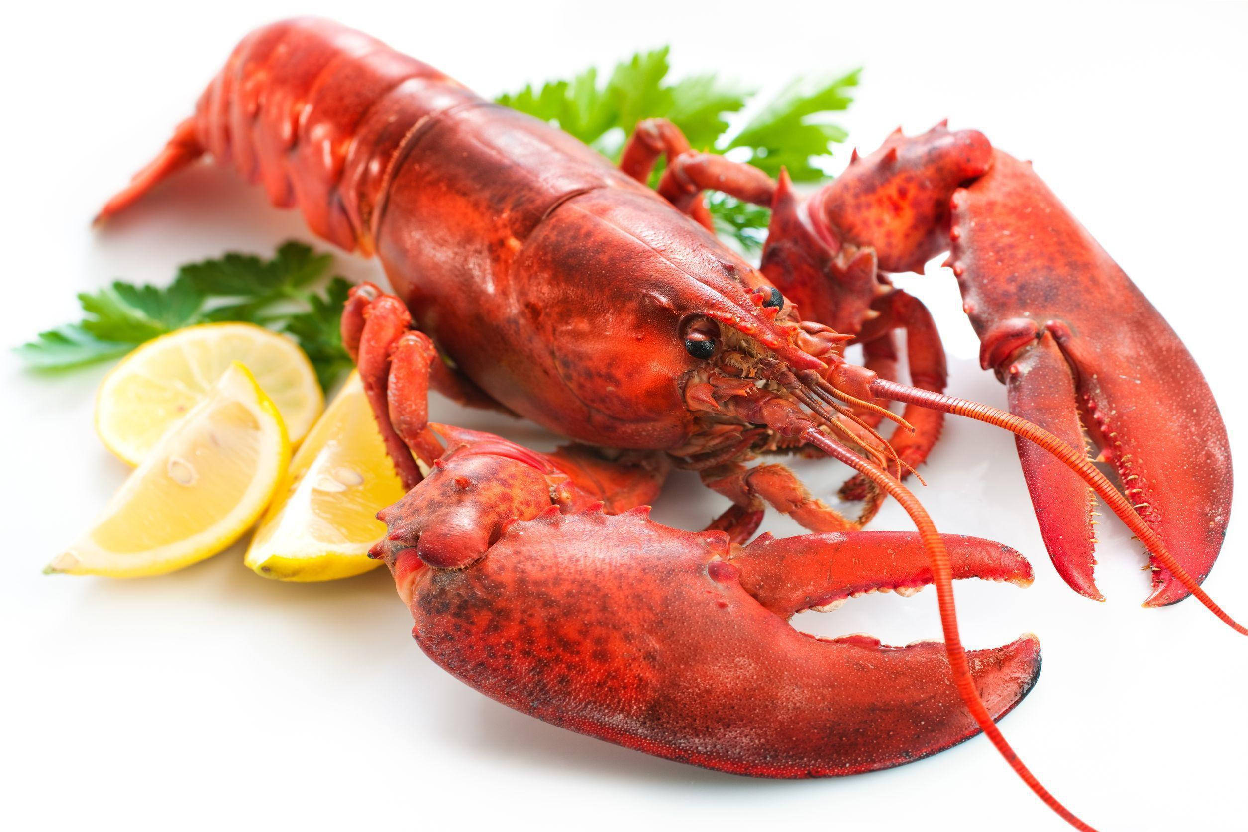 sumptuous lobster, lemon wedges, parsley, Full HD Desktop Wallpaper