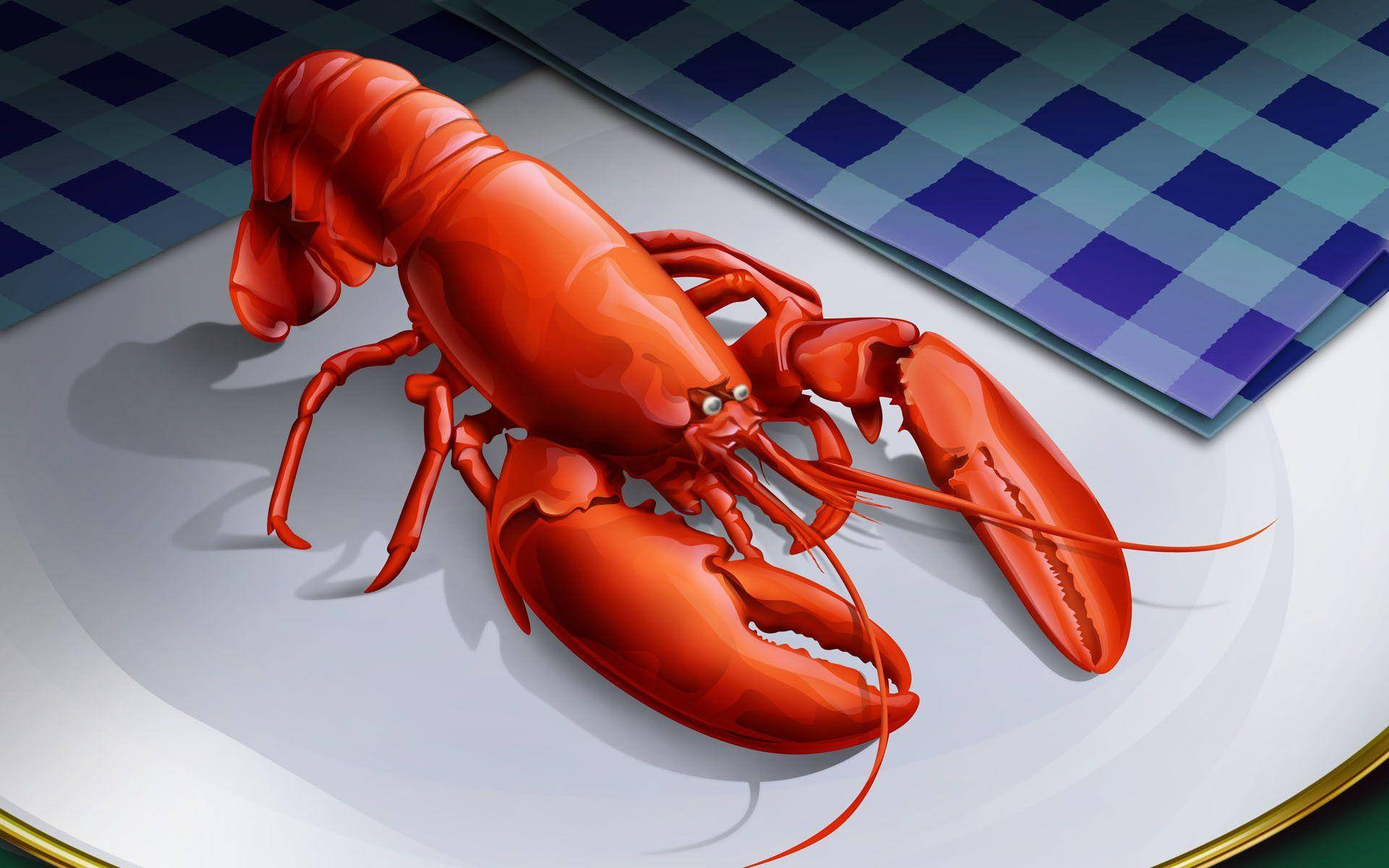 cartoon lobster, vibrant red, white plate, Full HD Desktop Wallpaper