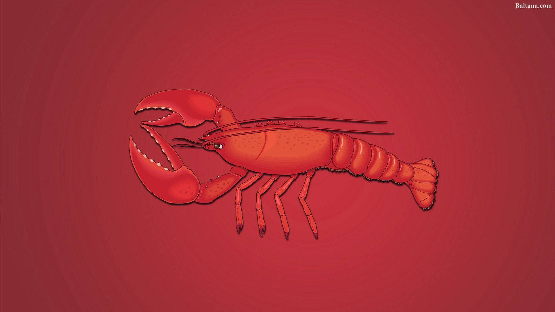 Red Lobster, stylized red lobster illustration, gradient red background, Full HD Desktop Wallpaper