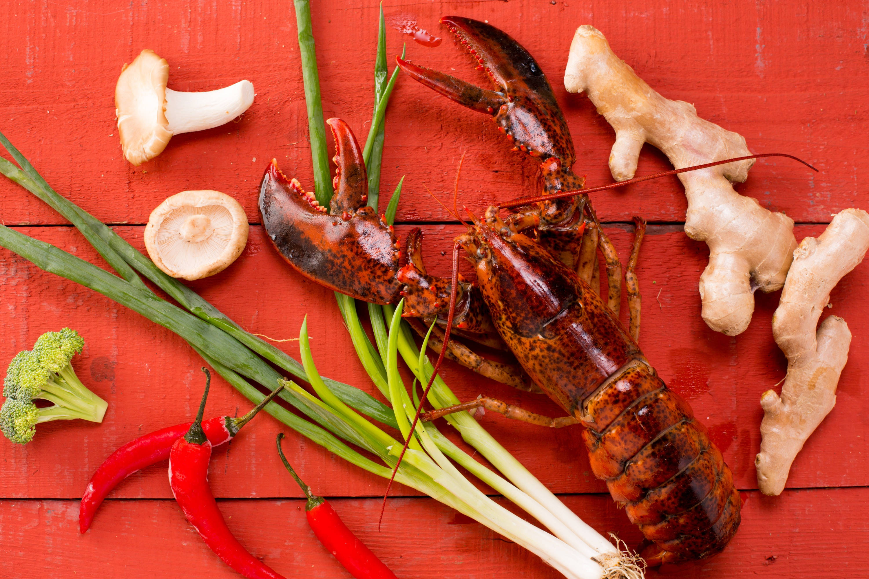 Lobster, ginger chili peppers, green onions, 2K Desktop Wallpaper