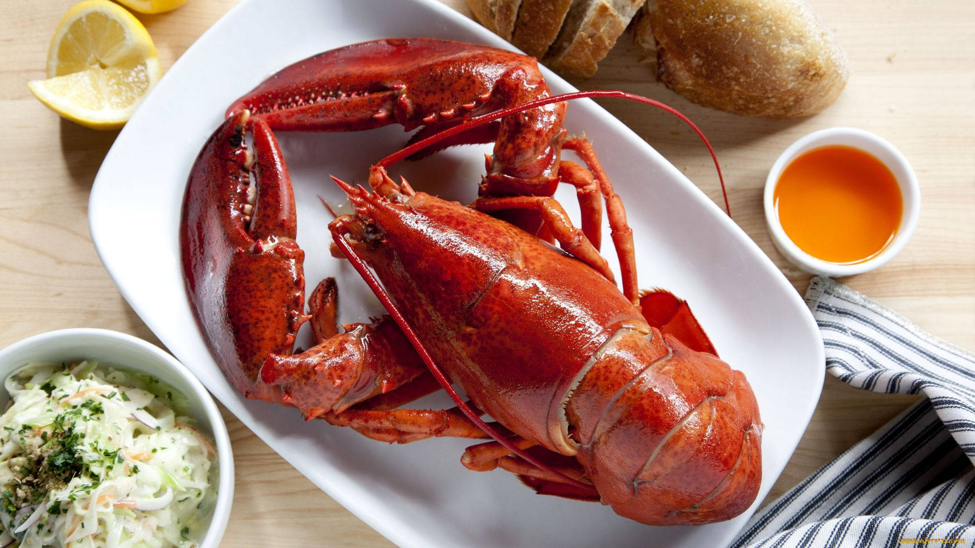 lobster, white plate, lemon butter sauce, Full HD Desktop Wallpaper