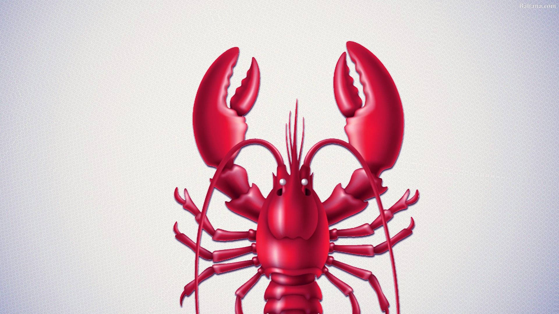 glossy red lobster, 3d, sharp claws, Full HD Desktop Wallpaper