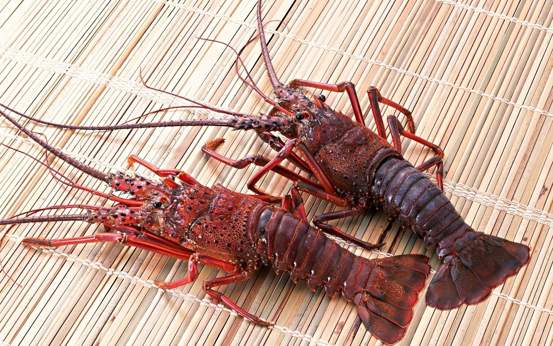 two red lobsters, bamboo mat, light bamboo mat, Full HD Desktop Wallpaper