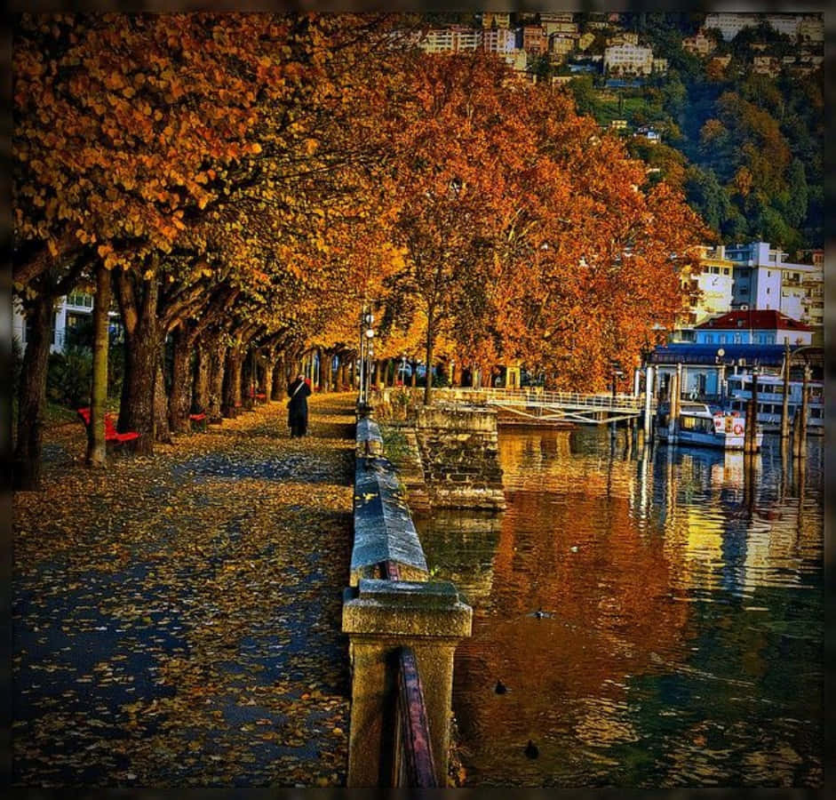 Locarno, lakeside promenade, golden autumn trees, SD Desktop Wallpaper