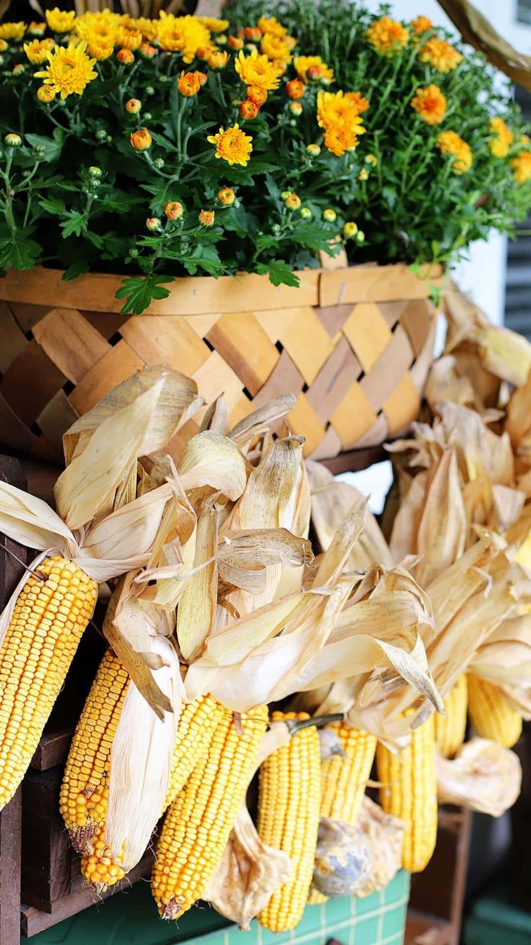 rustic wooden basket, bright orange chrysanthemums, dried corn cobs, Full HD Phone Wallpaper