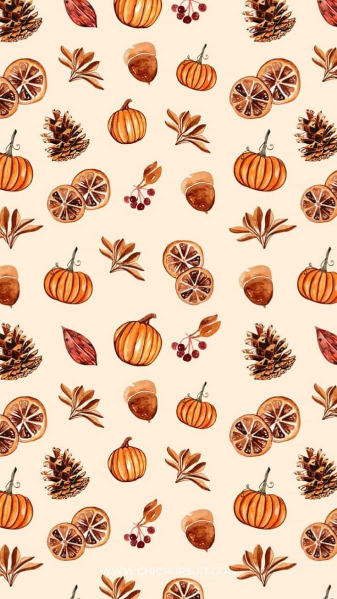 autumn harvest pattern, pumpkins, pinecones, SD Phone Wallpaper