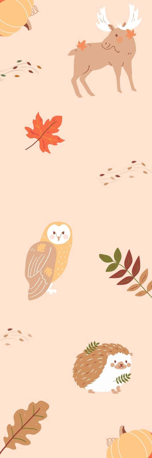 autumn animals, moose, owl, HD Phone Wallpaper