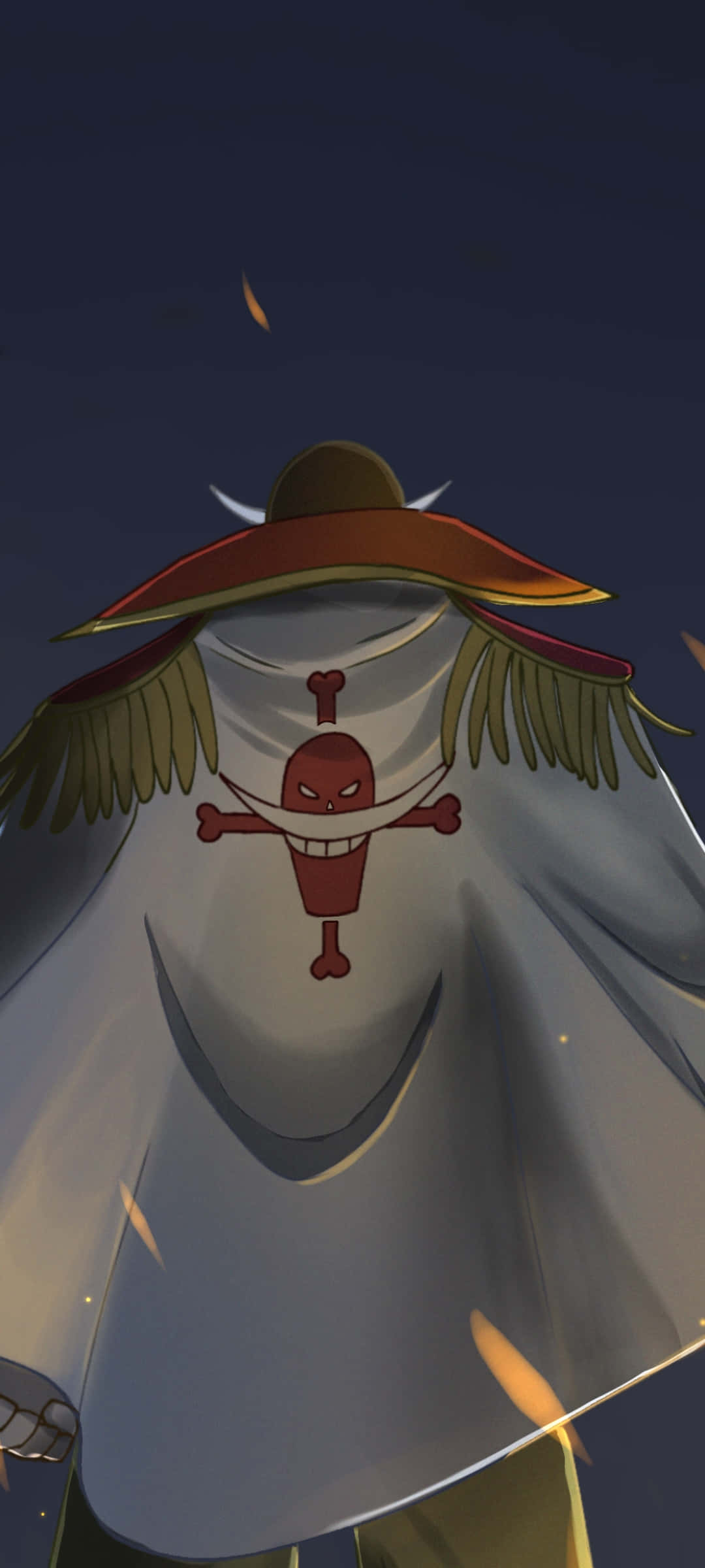One Piece, pirate, wide-brimmed hat, Full HD Phone Wallpaper