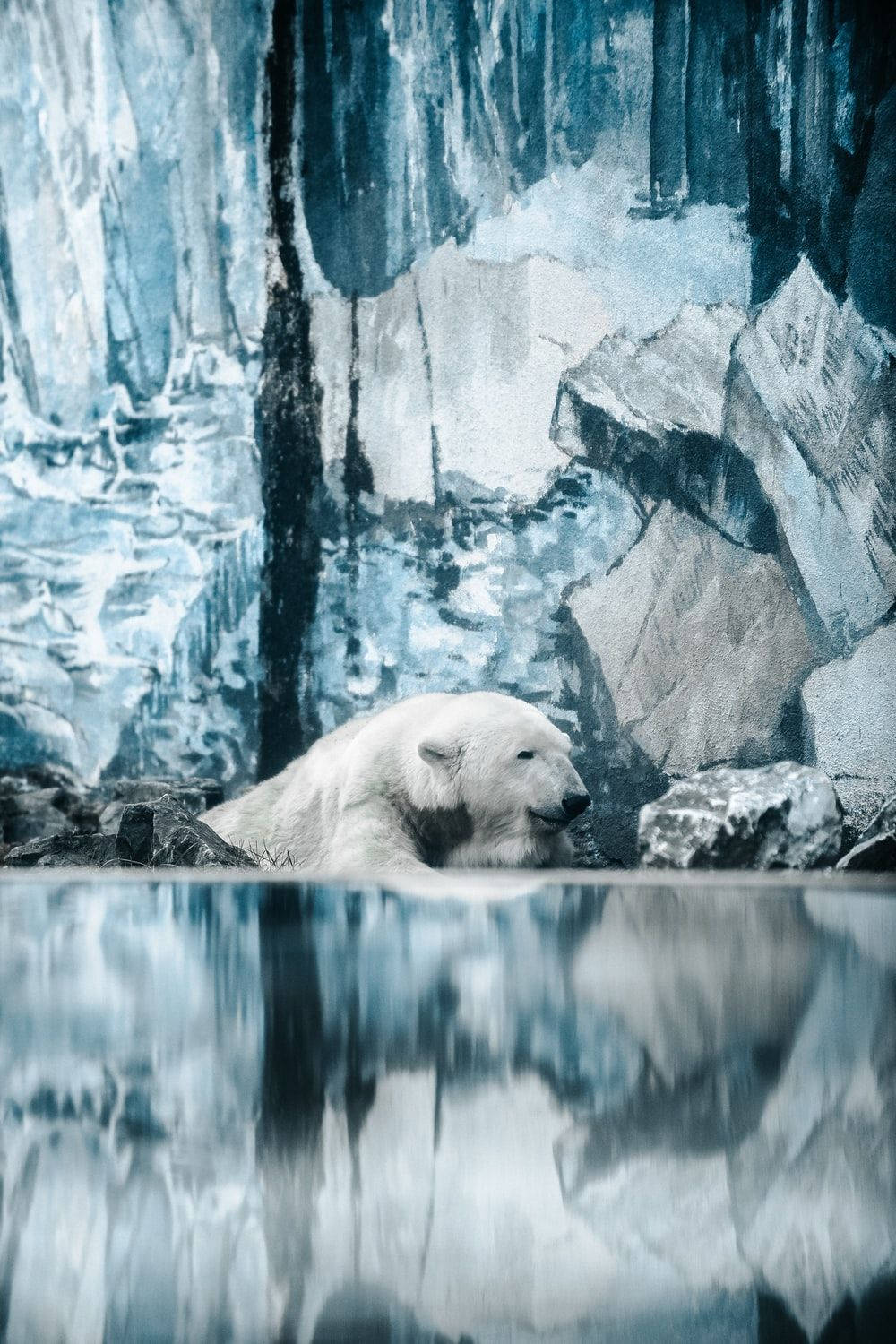 polar bear, icy water, blue-white ice formations, HD Phone Wallpaper