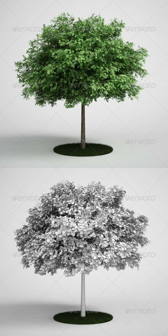 Black Locust, grayscale wireframe, circular patch of grass, SD Phone Wallpaper