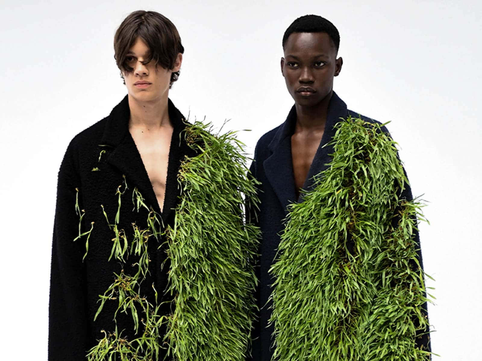 Loewe, men's jacket, botanical elements, HD Desktop Wallpaper