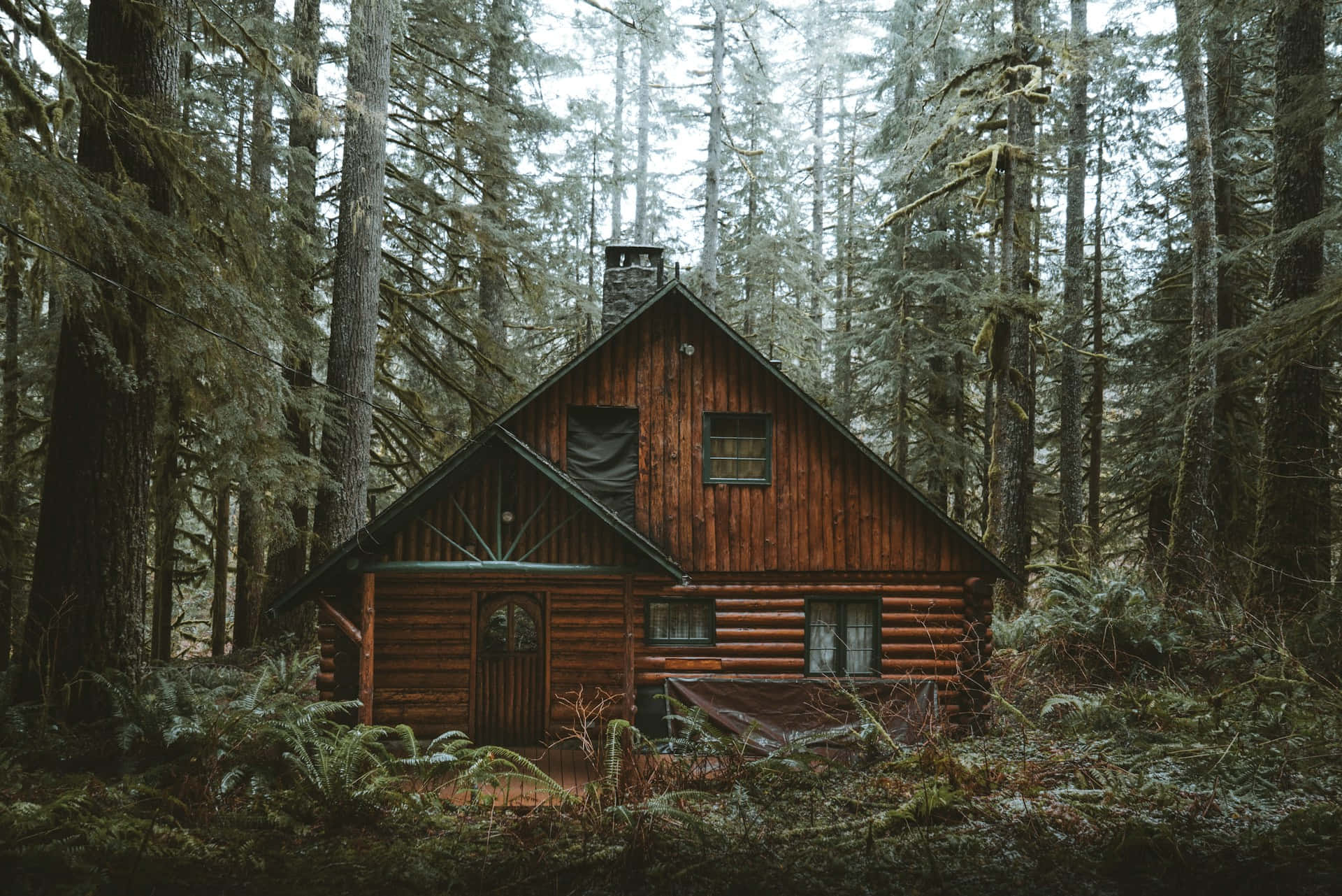rustic forest log cabin, weathered wooden cabin, misty evergreen forest, Full HD Desktop Wallpaper
