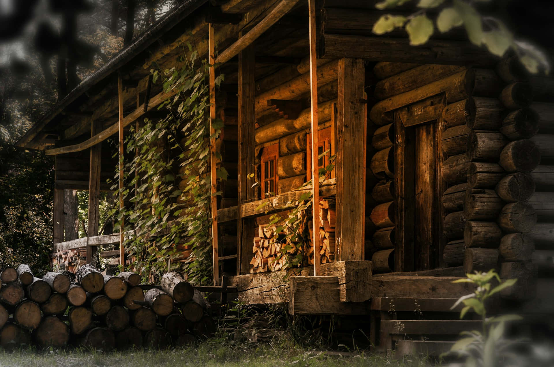 rustic log cabin, forest, stacked logs, Full HD Desktop Wallpaper