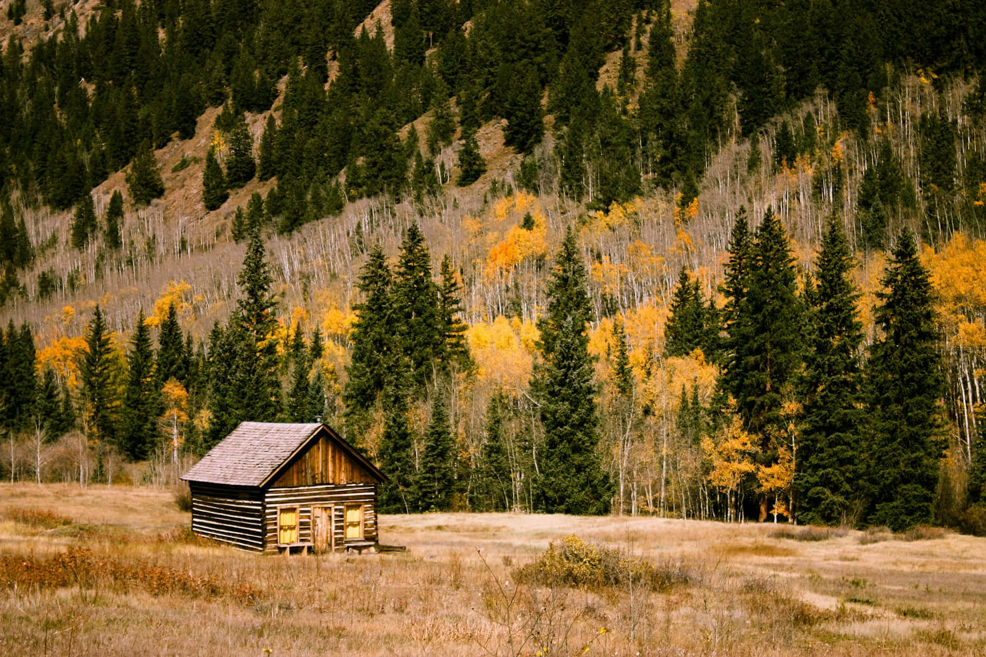 autumnal mountain cabin, rustic wooden cabin, golden field, Full HD Desktop Wallpaper