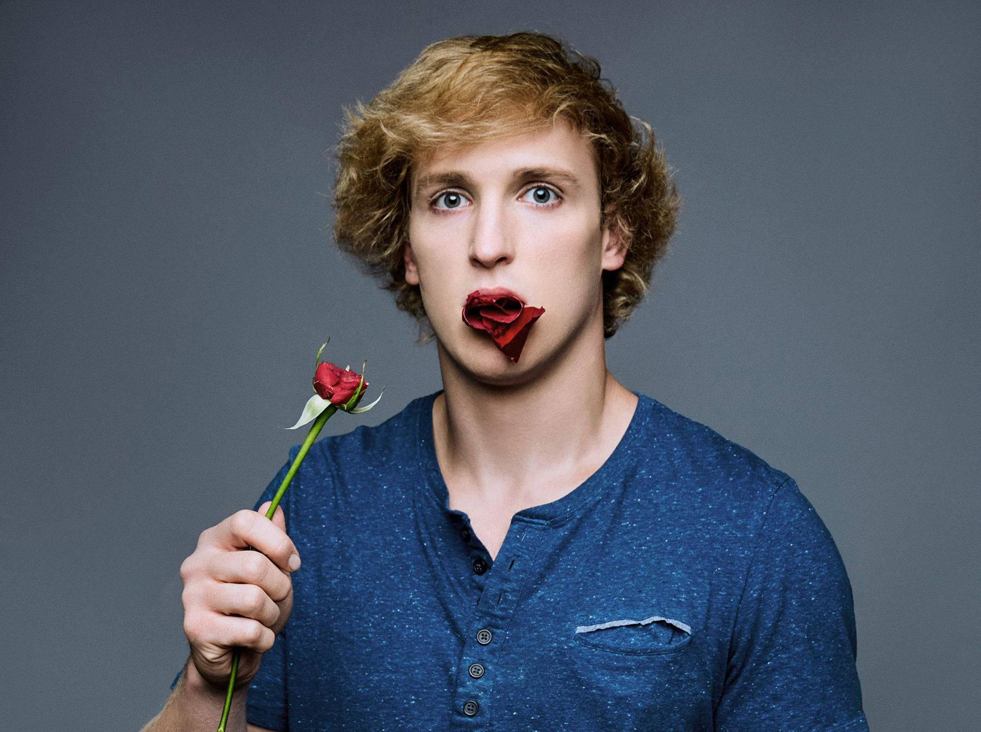 Logan Paul, red rose, curly blonde hair, Full HD Desktop Wallpaper