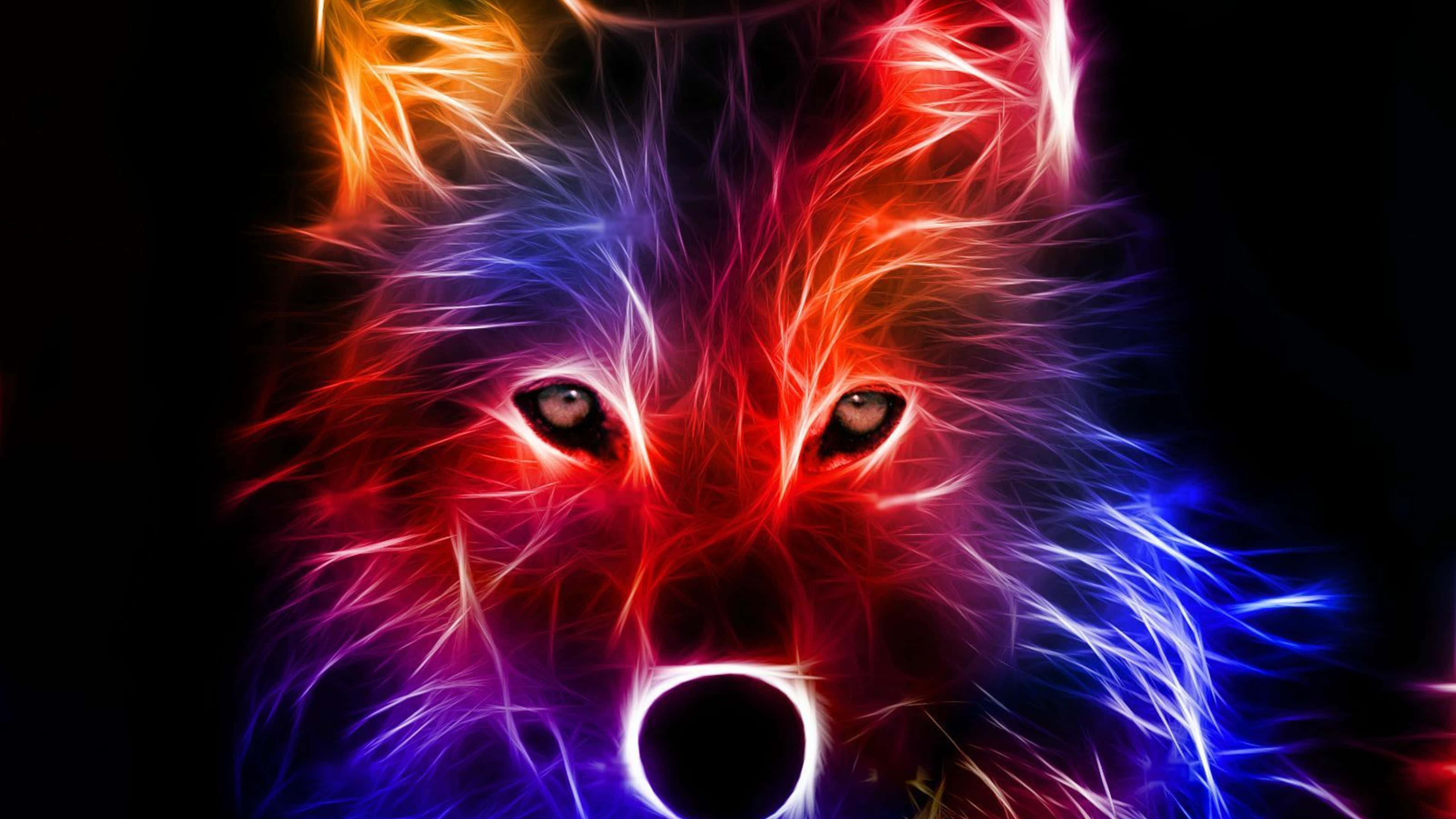 water and fire wolf, lone wolf, forest of both fire and water, 4K Desktop Wallpaper