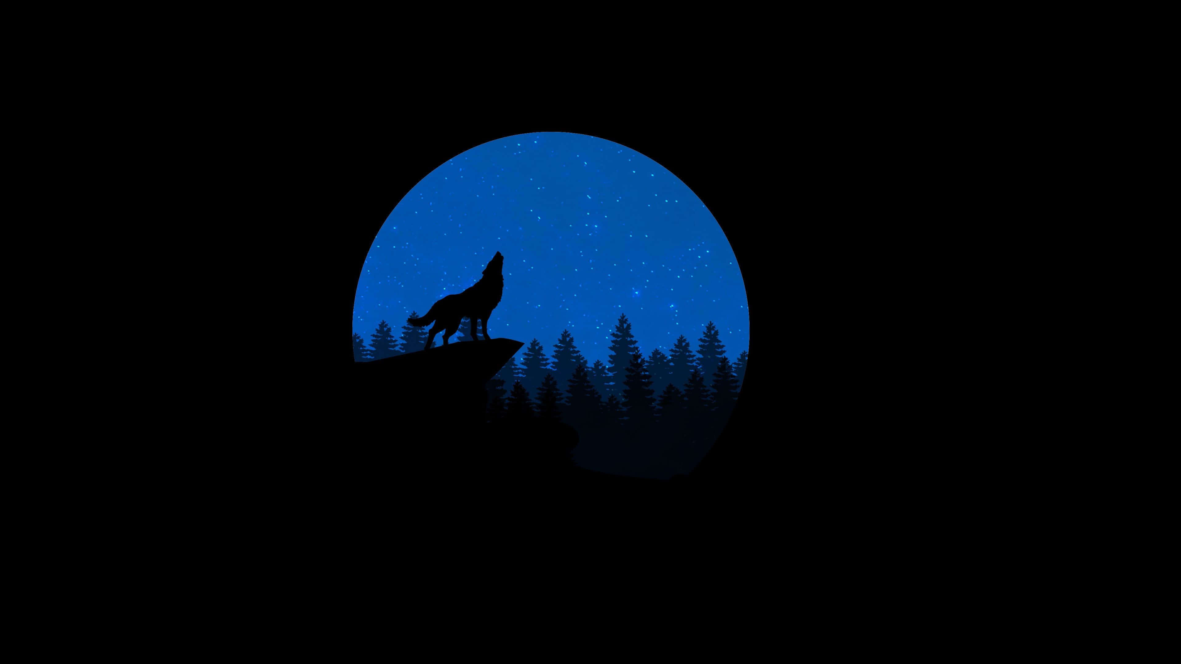 lone wolf, moonlight, starry blue moon, 4K Desktop Wallpaper
