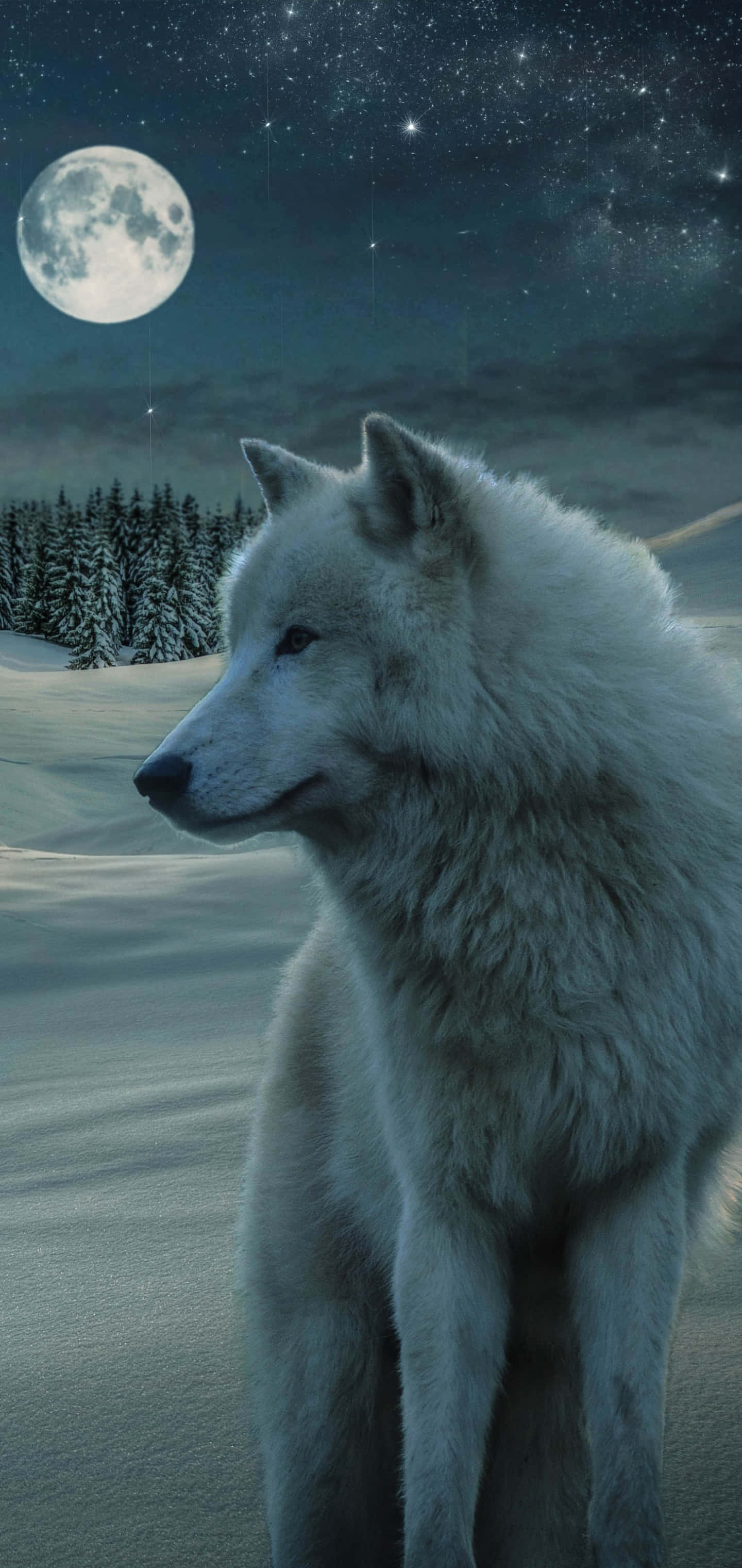 Lone Wolf, mystical forest, snowy wilderness, 2K Phone Wallpaper