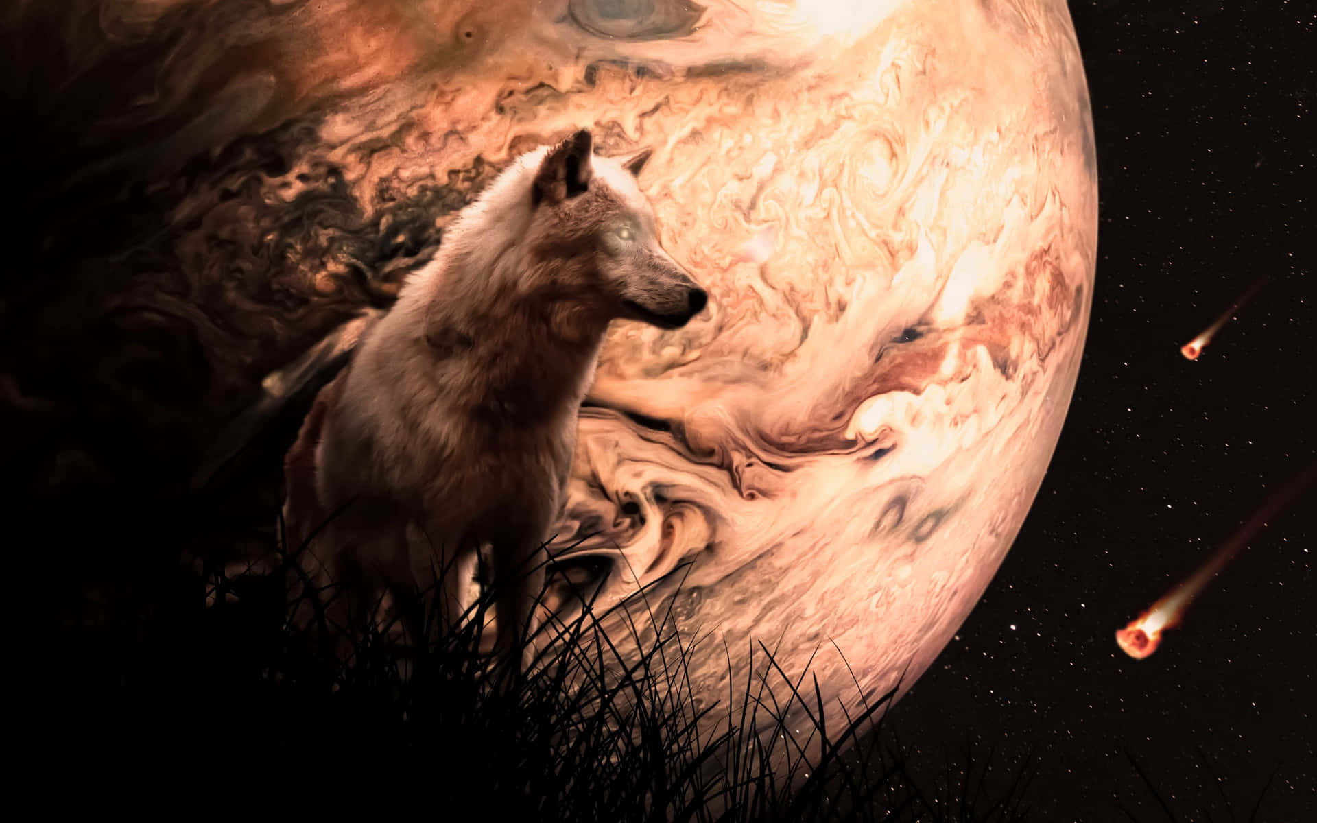 Lone Wolf, white wolf, snowy landscape, Full HD Desktop Wallpaper