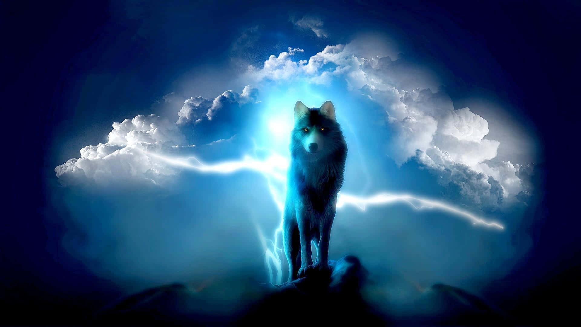 lone wolf, mountain peak, cliff, Full HD Desktop Wallpaper