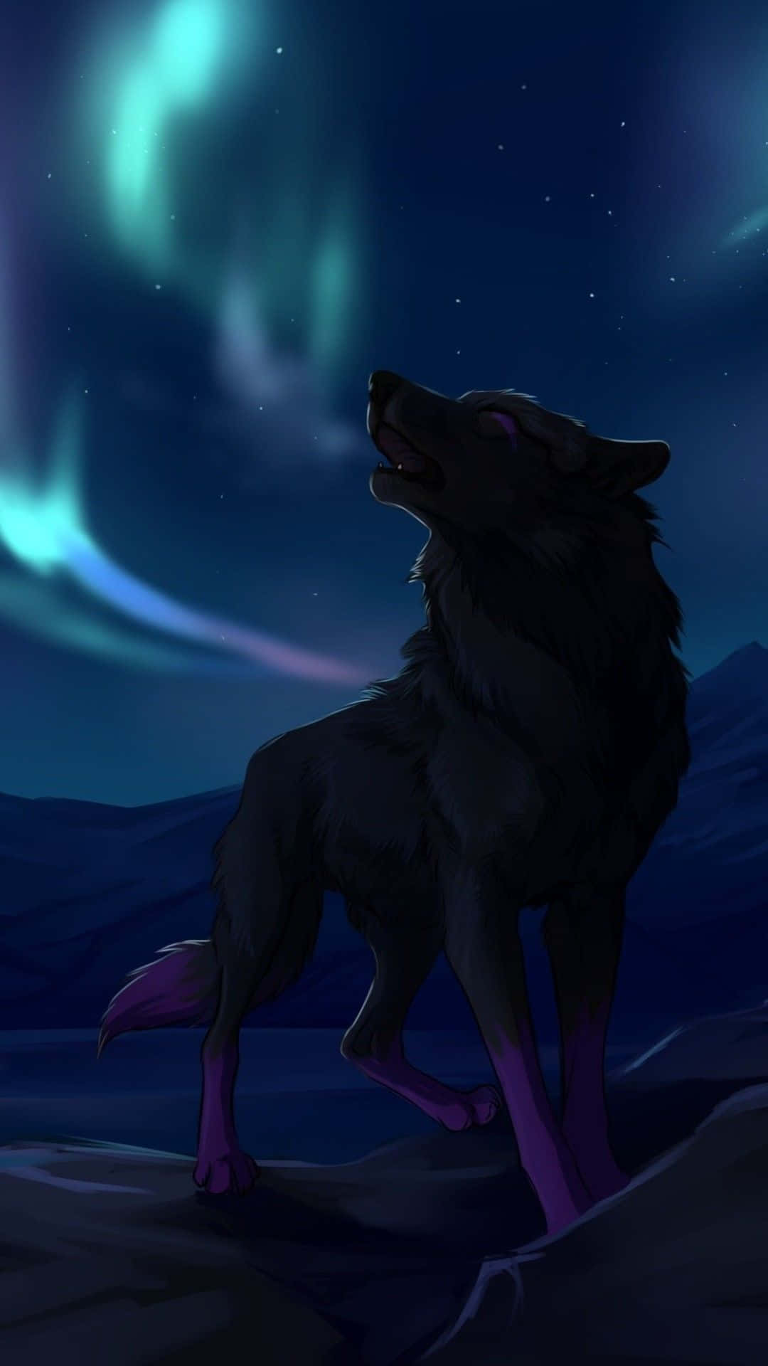 Lone Wolf, aurora borealis, starry night sky, Full HD Phone Wallpaper