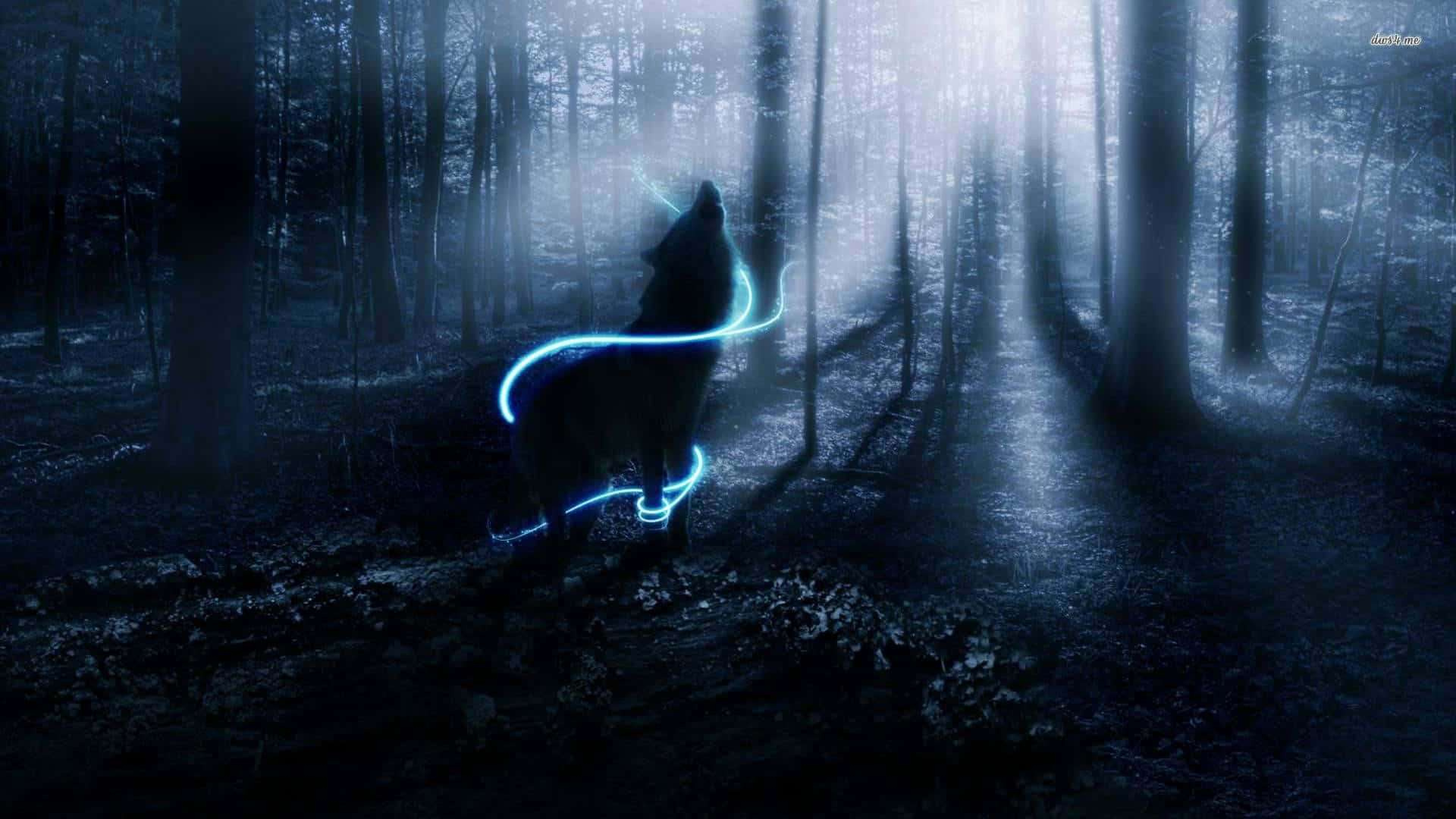 Lone Wolf, glowing blue wolf, misty dark forest, Full HD Desktop Wallpaper