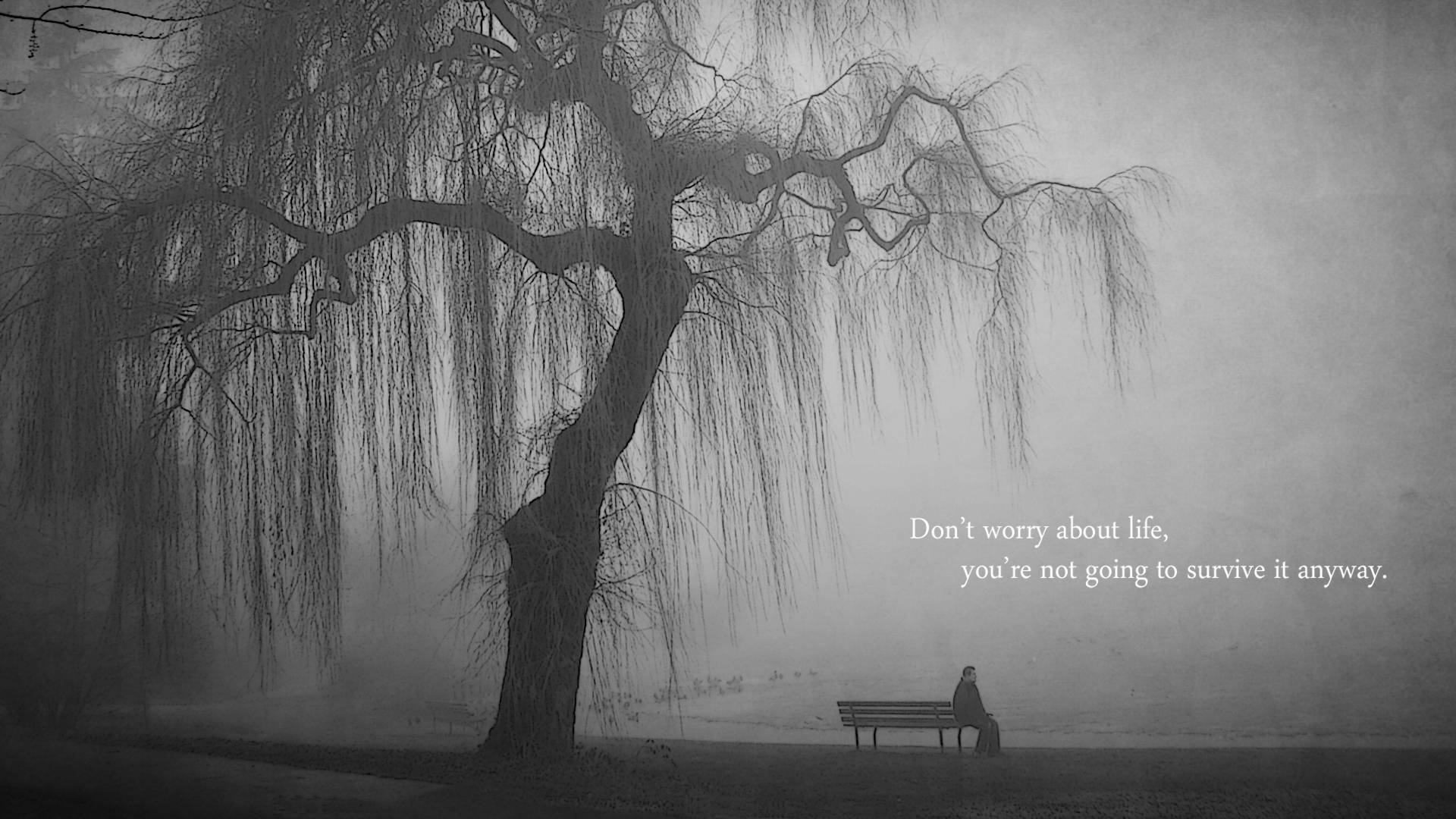 lonely quote, willow tree, misty monochrome park, Full HD Desktop Wallpaper