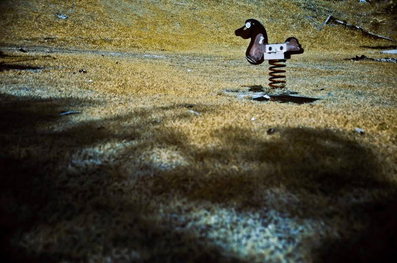 rusty spring horse toy, dry grass, dappled shade, SD Desktop Wallpaper