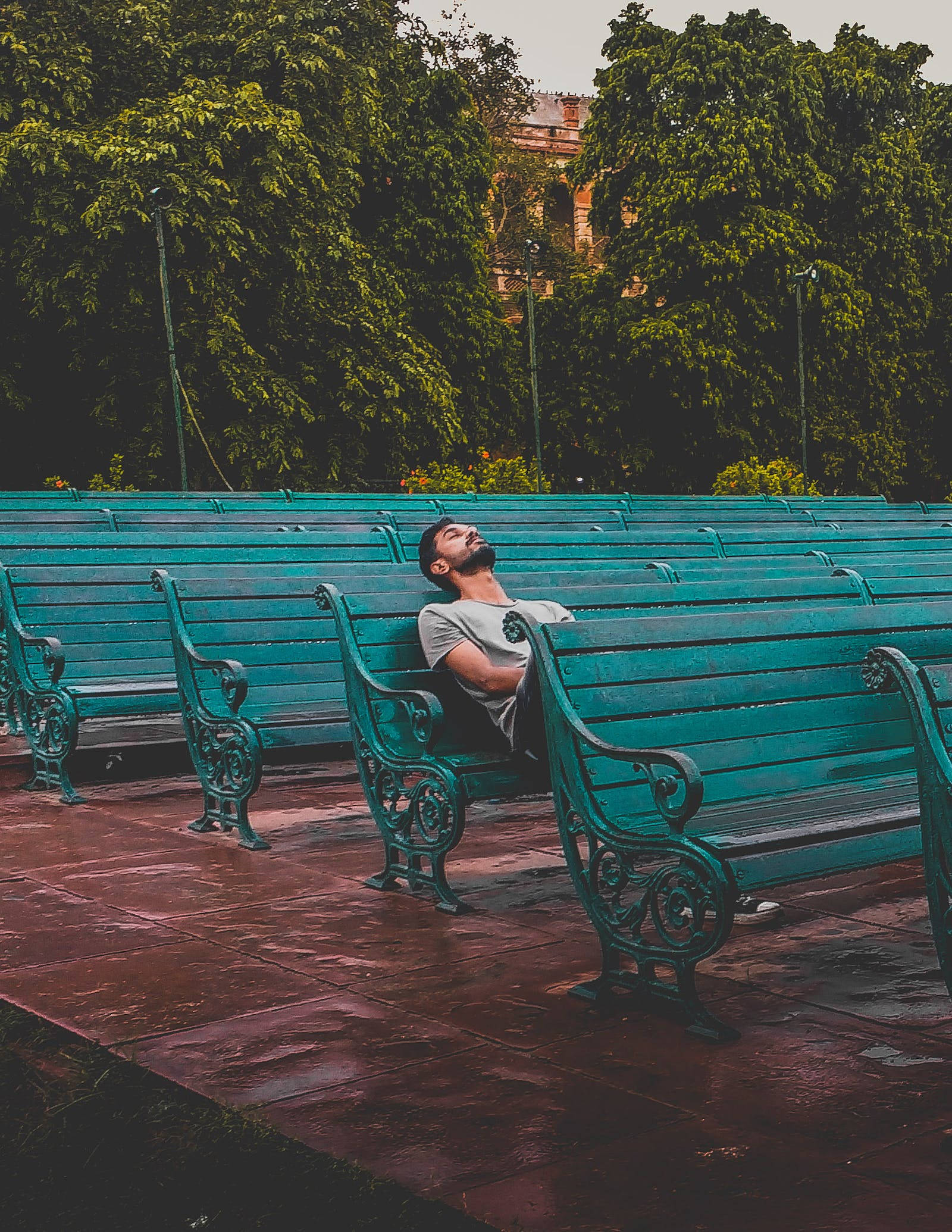 teal park bench, lush green trees, wet pavement, Full HD Phone Wallpaper