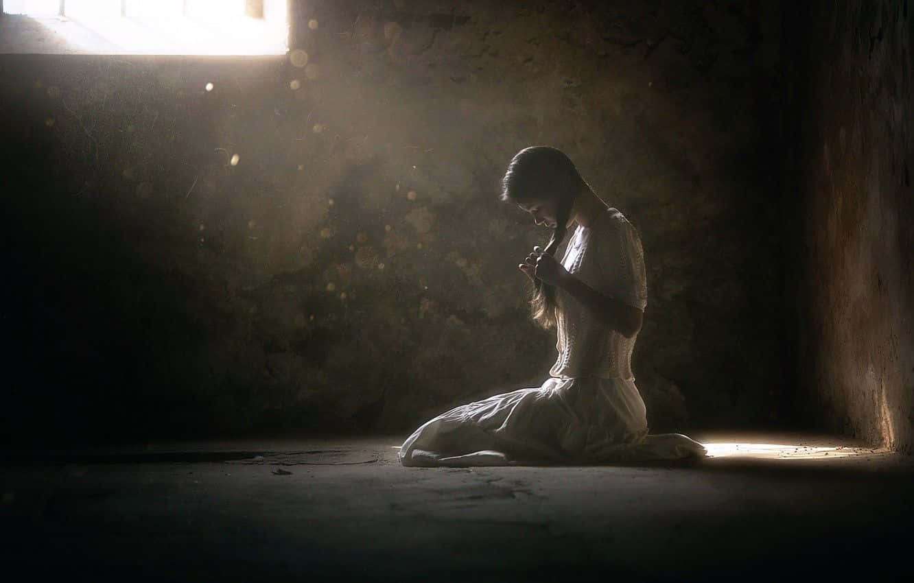 Loner, golden sunlight, dust motes, HD Desktop Wallpaper