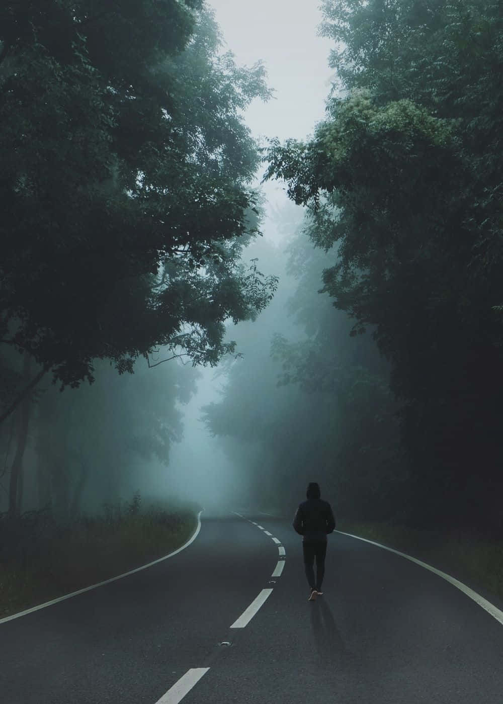Loner, misty forest road, dense green trees, HD Phone Wallpaper