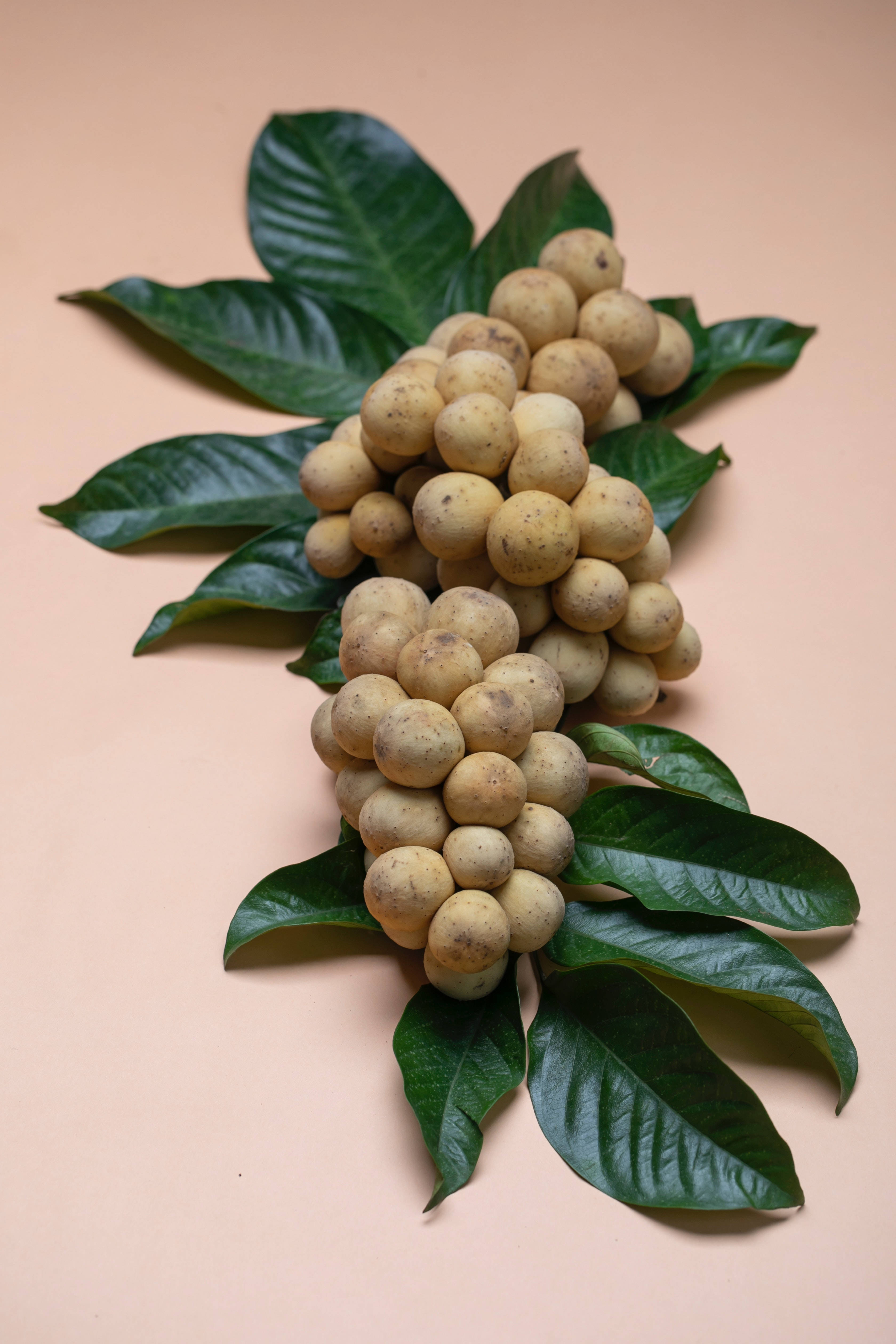 longan fruits, green leaves, peach background, 4K Phone Wallpaper
