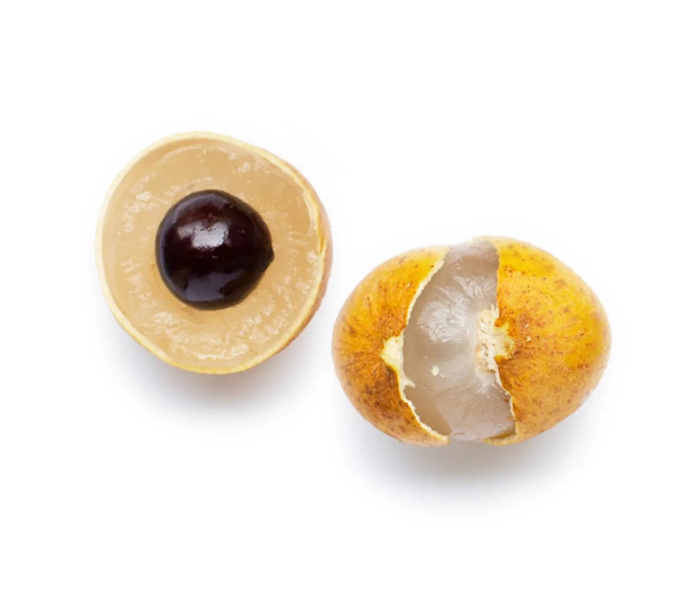 longan fruits, translucent white flesh, single dark seed, HD Desktop Wallpaper